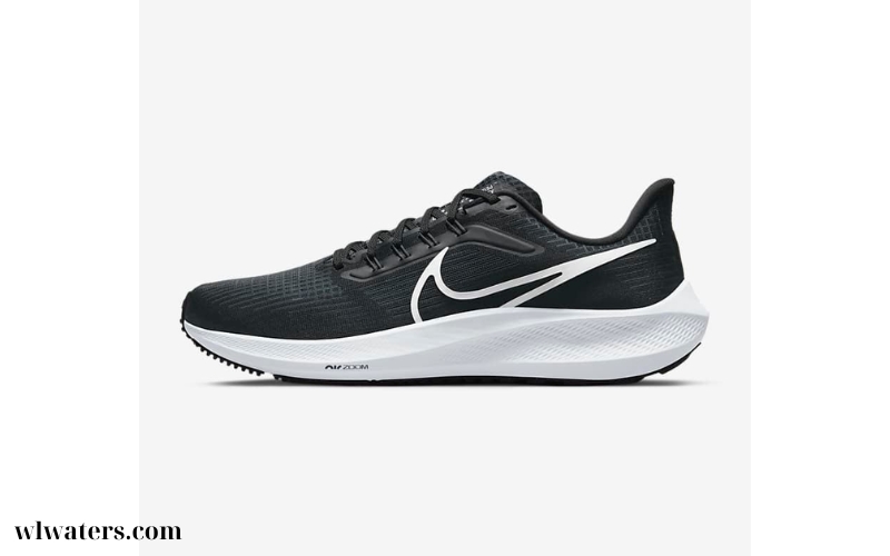 Giày Nike Air Zoom (3)